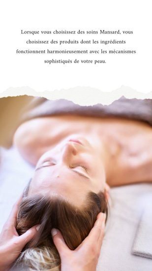mansard présentation