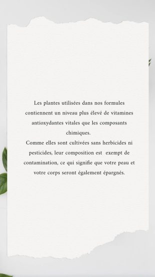 mansard présentation